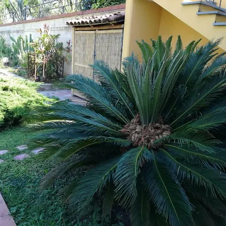 Capo Buona Speranza Apartamento Terzorio